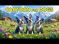Cartoon for Dogs 🐶 | Relaxing Dog TV Videos | Help Reduce Anxiety at Home