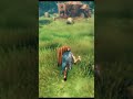 Valheim Buscamos gente para servidor - Discord : carlosperez95