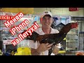 Поменял iPhone на петуха! Птичий рынок в Анталии.