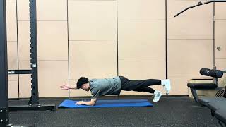 Plank w/Diagonal Reach