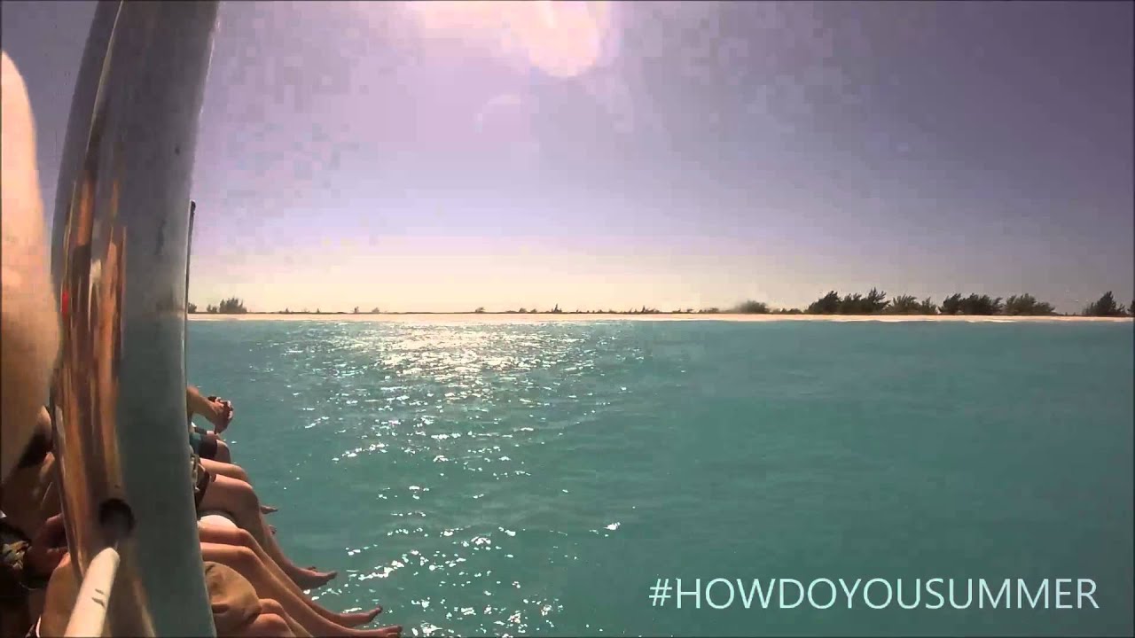 Vineyard Vines Whale Rep