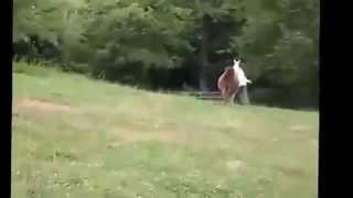 ▶ Смешные атаки животных Интересное видео с животными 2013 YouTube 360p ▶ Смешные атаки животных Интересное видео с животными 2013 YouTube 360p