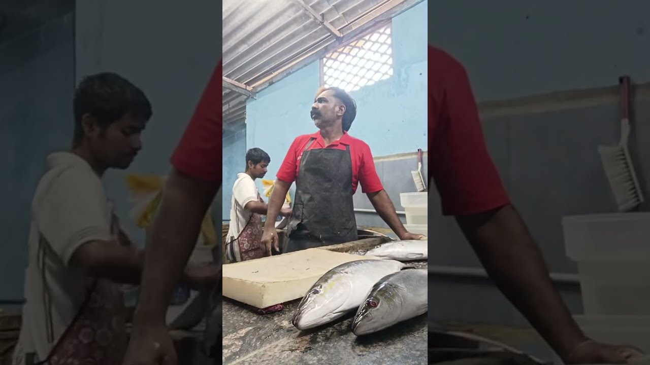 FM FISH CUTTING is live!