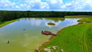 Building a 5 Acre Pond! (Adding Cypress Trees and Structure)