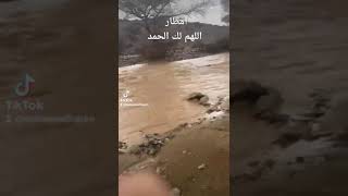 ٣١ مايو ٢٠٢١