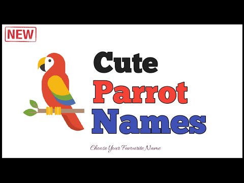 45+ Cute (MALE & FEMALE) Pet Parrot Bird Names | NamoLogy