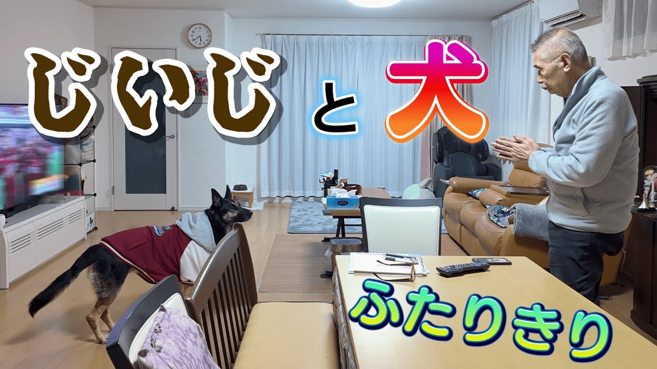 愛犬を実家に預けたら、ばあばまで出かけてじぃじとふたりきりになった結果…w