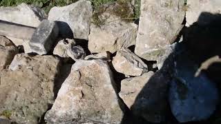 Dry Stone Walls / Brick Walls Cavity Filled Stones / Foam Boards, Mineral Wool, Expanded Polystyrene