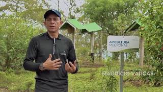 Cápsula: Apicultura, Granja La Esperanza  Fundación Aurelio Llano Posada