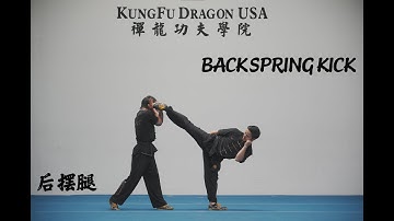 Kung Fu Dragon USA Online Tutorial:  BACKSPRING KICK /Hou Bai Tui/后摆腿