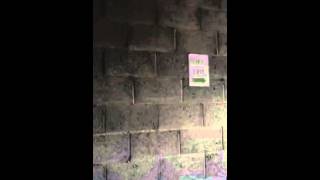 Scaring apprentices Wealth