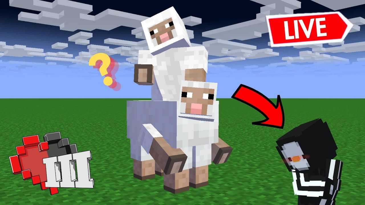 [EP 3] 💔 | 🎮 SATU NYAWA Minecraft ☁︎｡⋆｡ ﾟ ☾ ﾟ ｡⋆ - YouTube