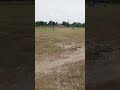Tech digital bangla #cricketshorts #cricketnews #youtubeshort #ytshorts