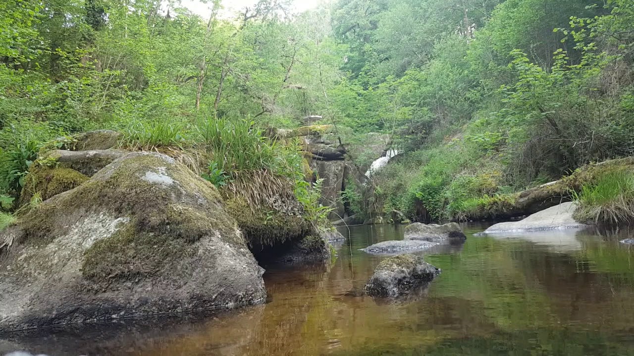 Relaxation Intense Bruit De Cascade YouTube
