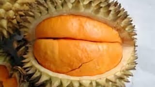 Situasi Pasar Senggol Sanggau Musim buah Pekawai