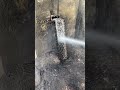 watch this! , clearing 6 cylinders diesel engine head #reels #automobile #fypシ #fyp