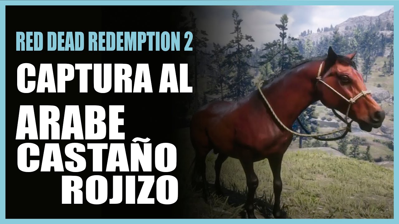 * DONDE ENCONTRAR al ÁRABE CASTAÑO ROJIZO | RED DEAD REDEMPTION 2
