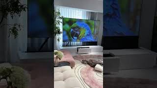 Bring your living room back to simple luxury#bigscreen #lasertv #projector #luxuryhomes #homedesign