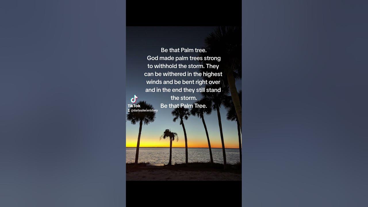 Palm Trees Are One Of The Strongest Trees In The Storm YouTube palm-trees-are-one-of-the-strongest-trees-in-the-storm-youtube