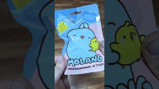 Molang из кабан и белка #2024 #figurine #кролик