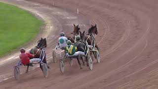 Vidéo de la course PMU PRIX D'YVERDON-LES-BAINS