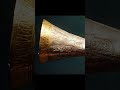 صوت بوك توت عنخ آمون الذي تسبب لكل من ينفخ فيه بالخراب الفراعنة لعنة الفراعنة اكسبلور Shortsvideo 