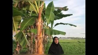 Kultum putus asa adalah termasuk orang yang sesat