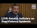 Senate Judiciary Cmte Holds Hearing on Stopping Gun Violence | LIVE