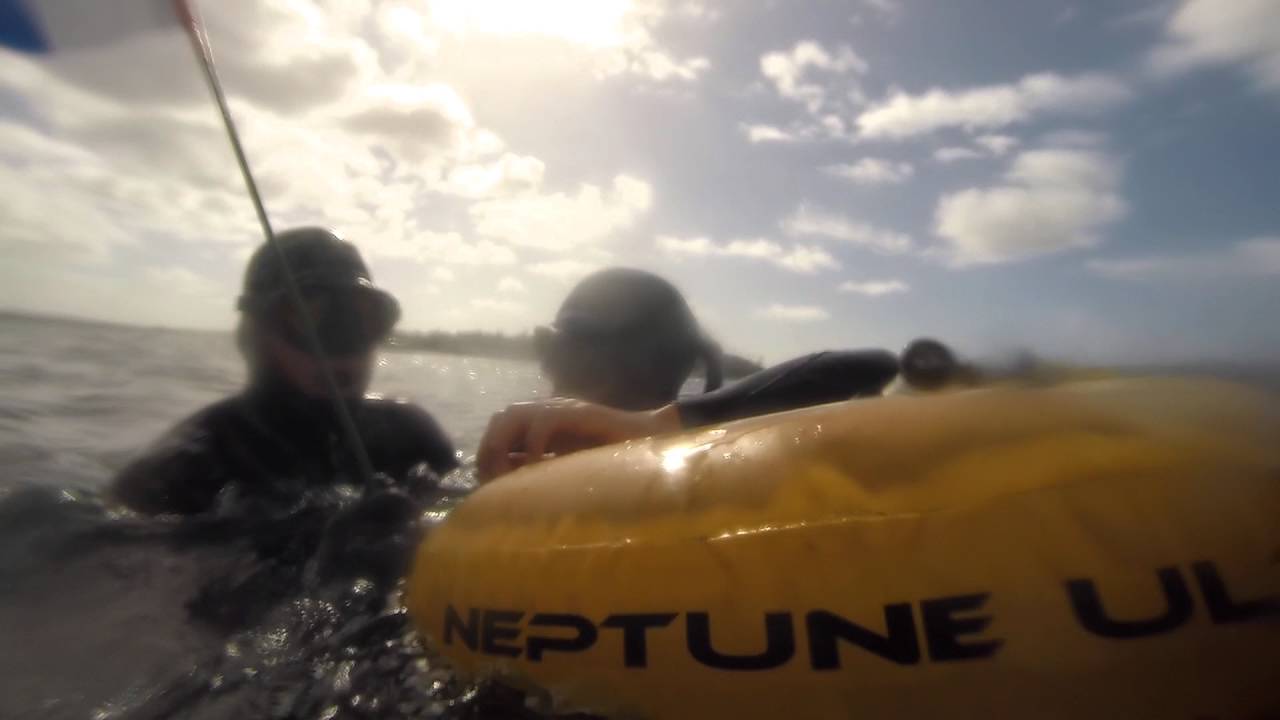 Vaucluse Bay freediving, Sydney