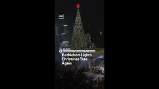 Bethlehem Lights Christmas Tree Again