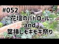 #052 花壇のパトロールandモギモギ祭り【多肉植物】Working video of succulents