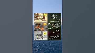 معاني بعض كلمات القرآن الكريم ❤️