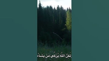 محمد صديق المنشاوي #quran #القرآن_الكريم #اكسبلور #تلاوة_خاشعة
