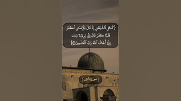 سورة الحشر الآية ١٦ و ١٧ بصوت الشيخ محمد صديق المنشاوي