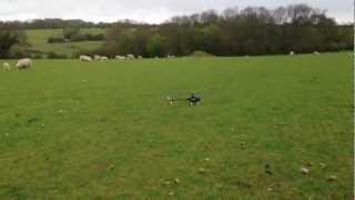 Align 4 Blade Head Scale Trex 500 Maiden Flight