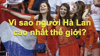 Vì Sao Người Hà Lan Cao Nhất Thế Giới?