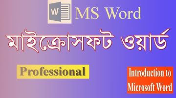 Ms word bold, italic, color