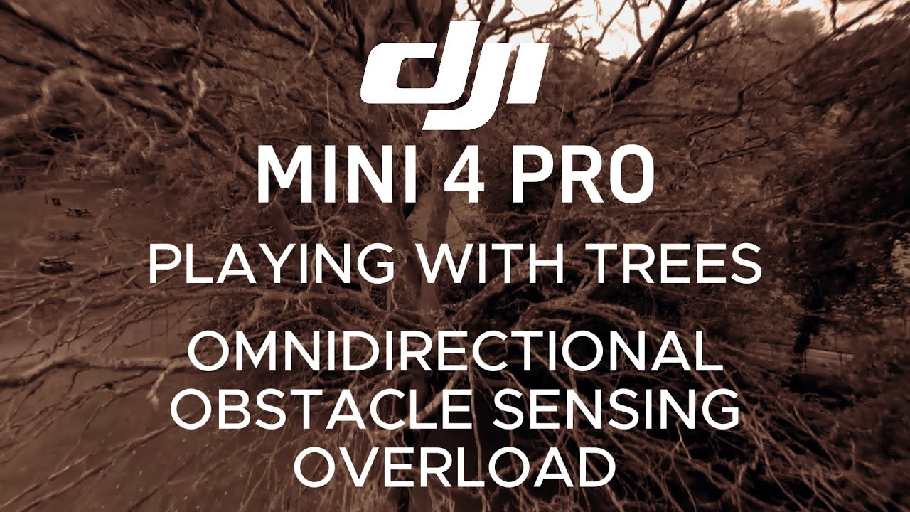 NEW DJI MINI 4 PRO PLAYING WITH TREES. OBSTACLE AVOIDANCE TEST. WHAT ...