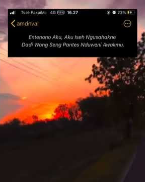 story wa labil viral