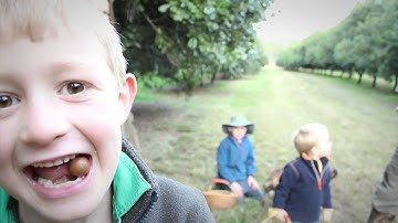 Visit Nutworks Macadamia Factory