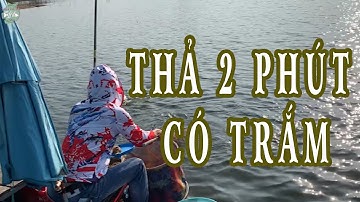 Câu Cá Tại Sông Rây | 2 phút lên trôi và cái kết | Thích Câu Đài - Shop