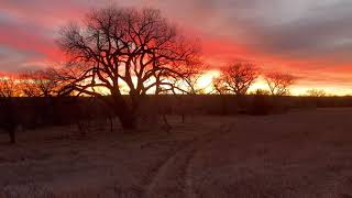 Kansas Sunset