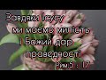 14.03.2024 Тема: &quot;Завдяки Ісусу ми маємо милість і Божий дар праведності.&quot;