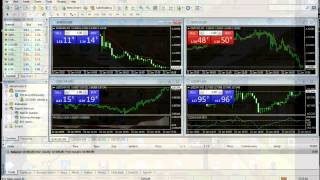 Forex Trading Robot Expert Advisor Installation Guide On New Metatrader MT4 Build 600 Or Higher