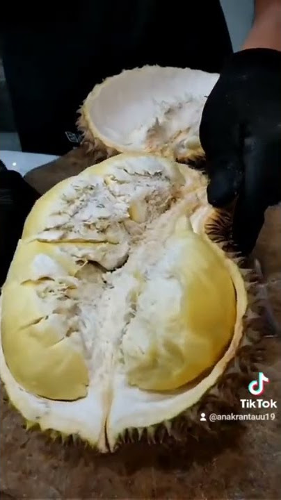 THIS IS THE MONTONG DURIAN, GUYS... 🤤🤤🤤 #durian #durianmontong #durianviral