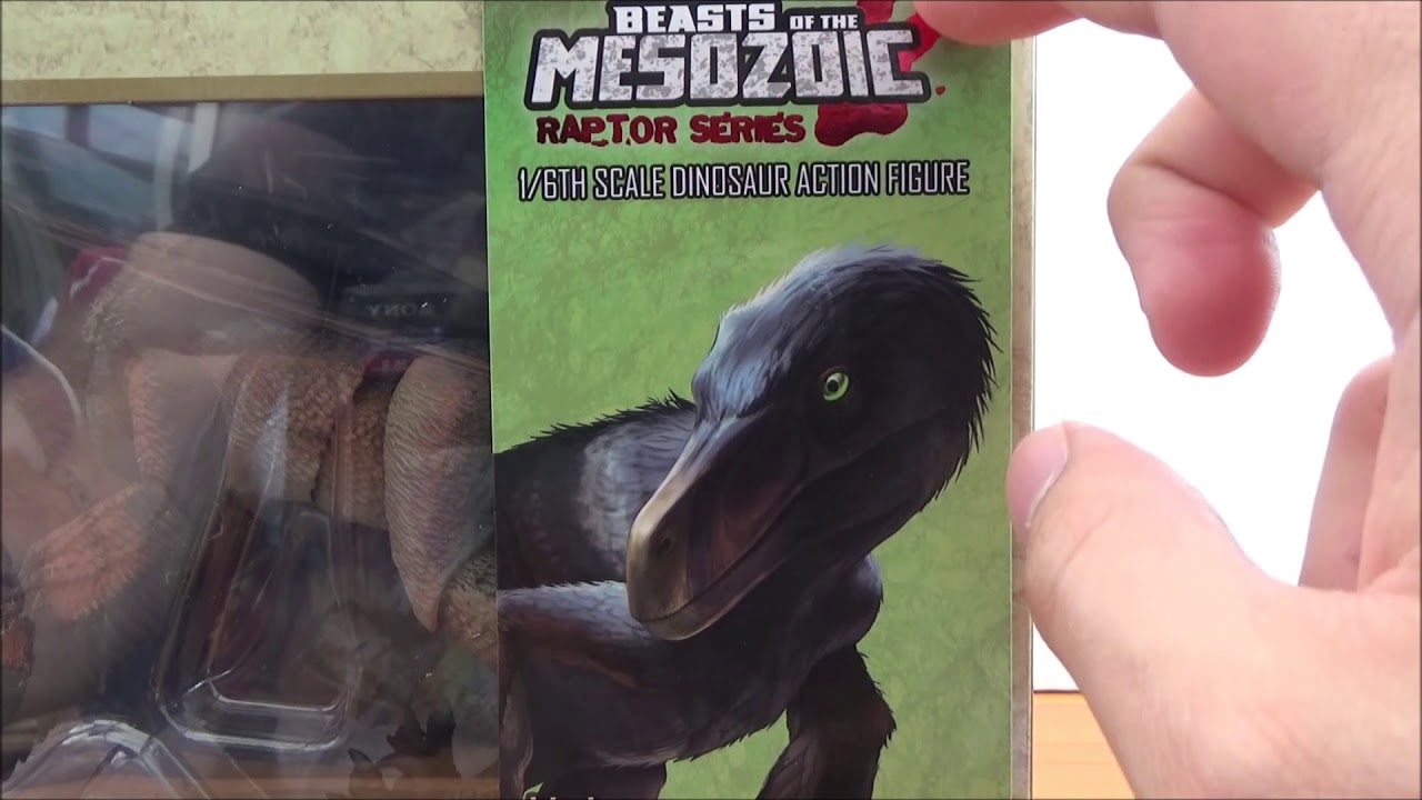 Botm Custom Figure BOTM Figure Unboxing! - YouTube