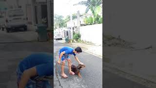 Kid Dog Trainer With Doberman Pinscher Obedience Training