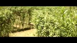 Tiptree Open Farm Sunday 8th June 2014