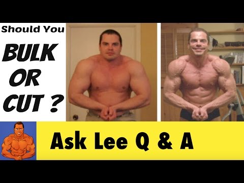 SHOULD I CUT OR BULK? – DR Physique Limited