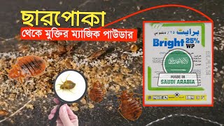 ছারপোকার কার্যকরী ঔষধ | Bed Bugs  Khatmal Saudi Arabia ( bright 25% wp) ٪٢٥ البق برايت